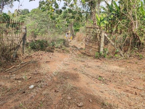 Land for Sale in Mala
