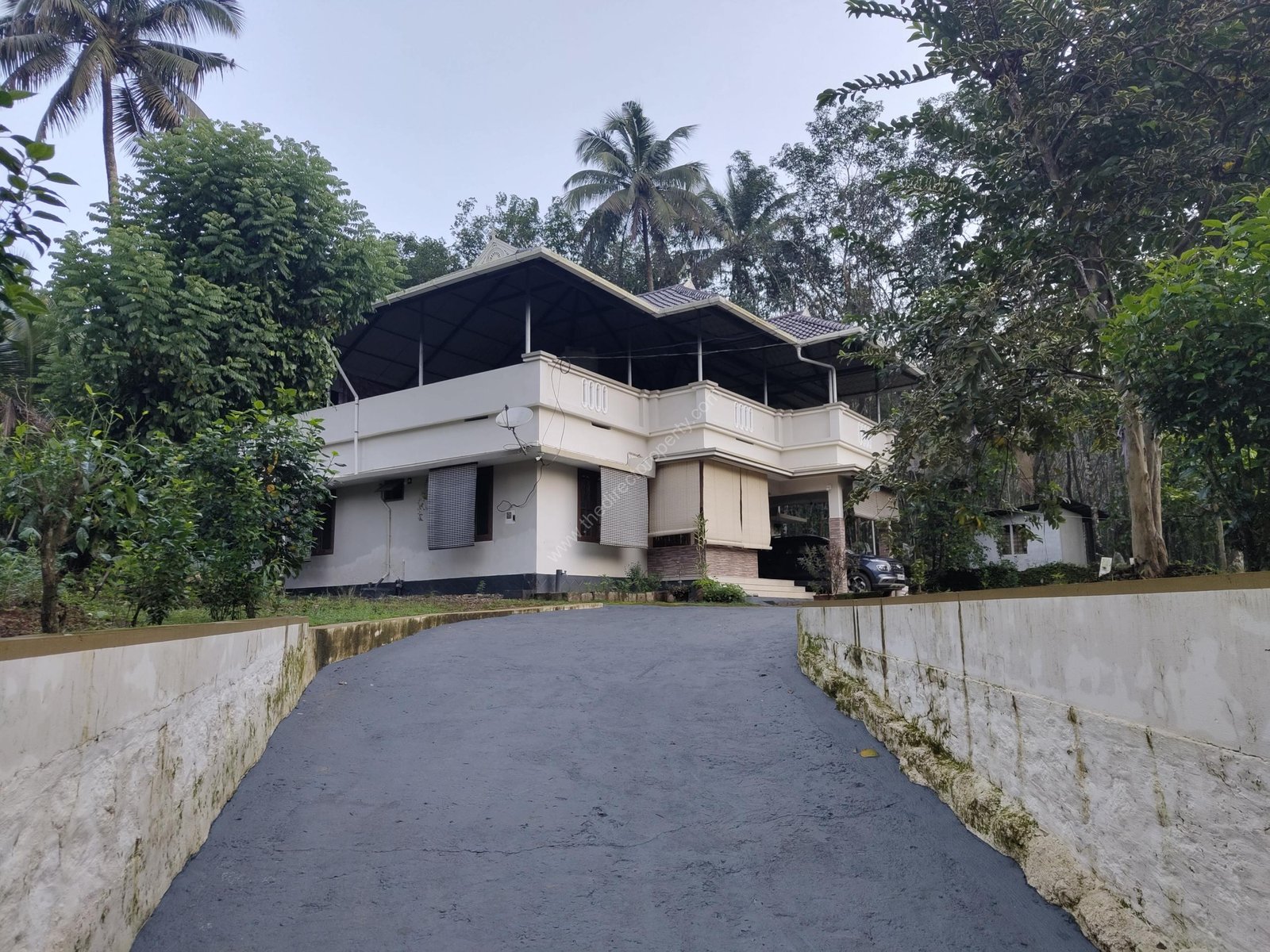 IMG_20240803_062113966