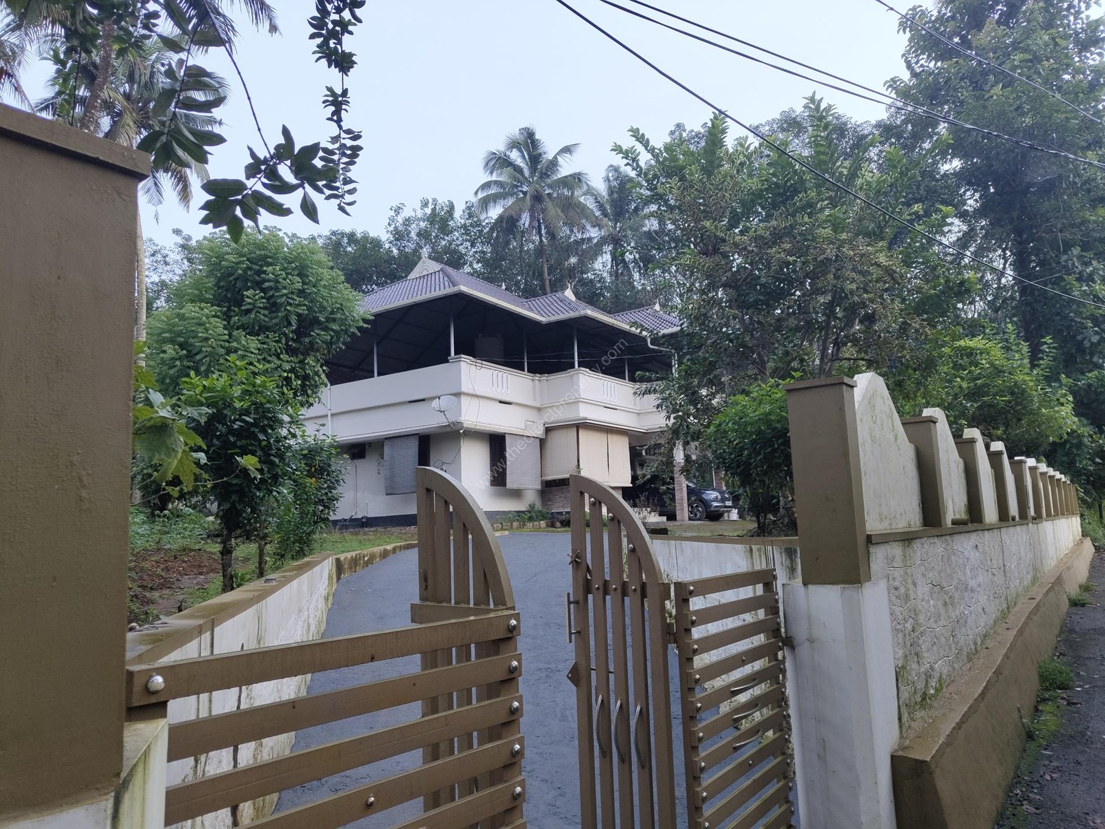 IMG_20240803_062130911