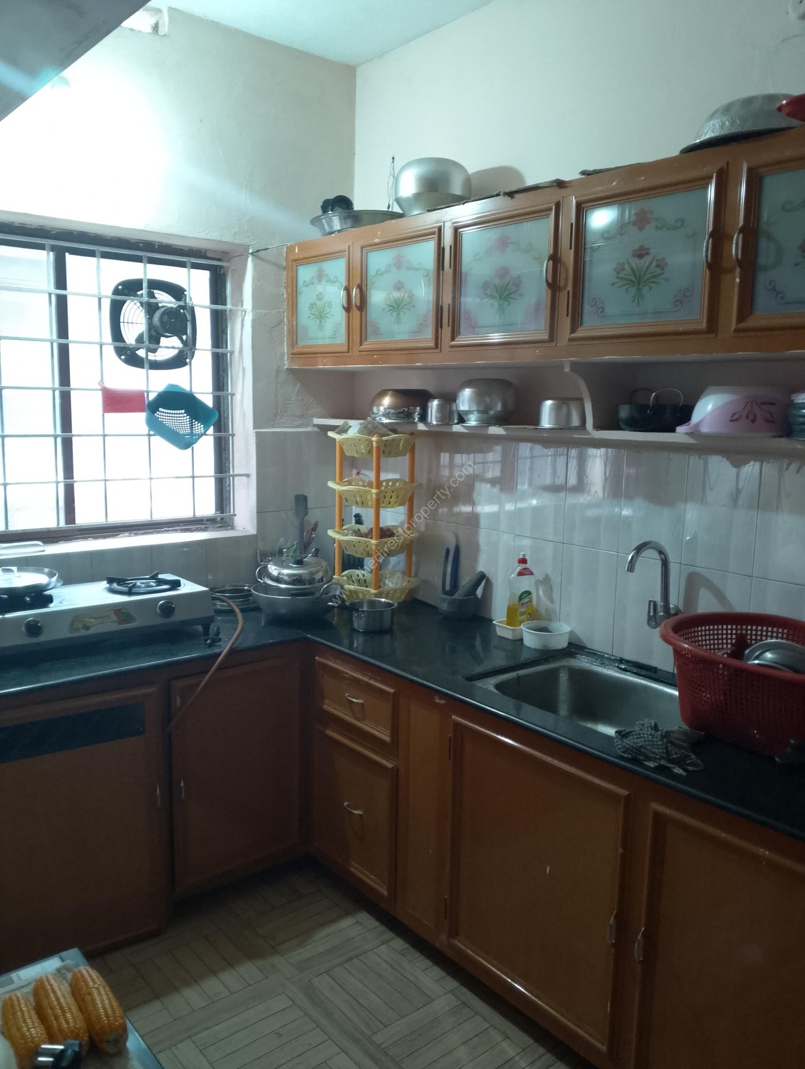 IMG_20241013_082730_492