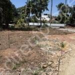 Land for sale in Ernakulam Udayamperoor