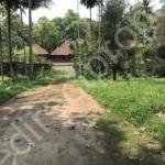 Land for sale in Ranni Pathanamthitta