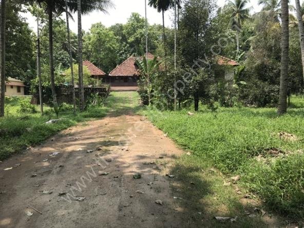 Land for sale in Ranni Pathanamthitta
