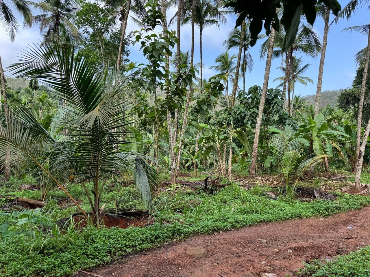 Dairy Farm & Agricultural Estate for Sale