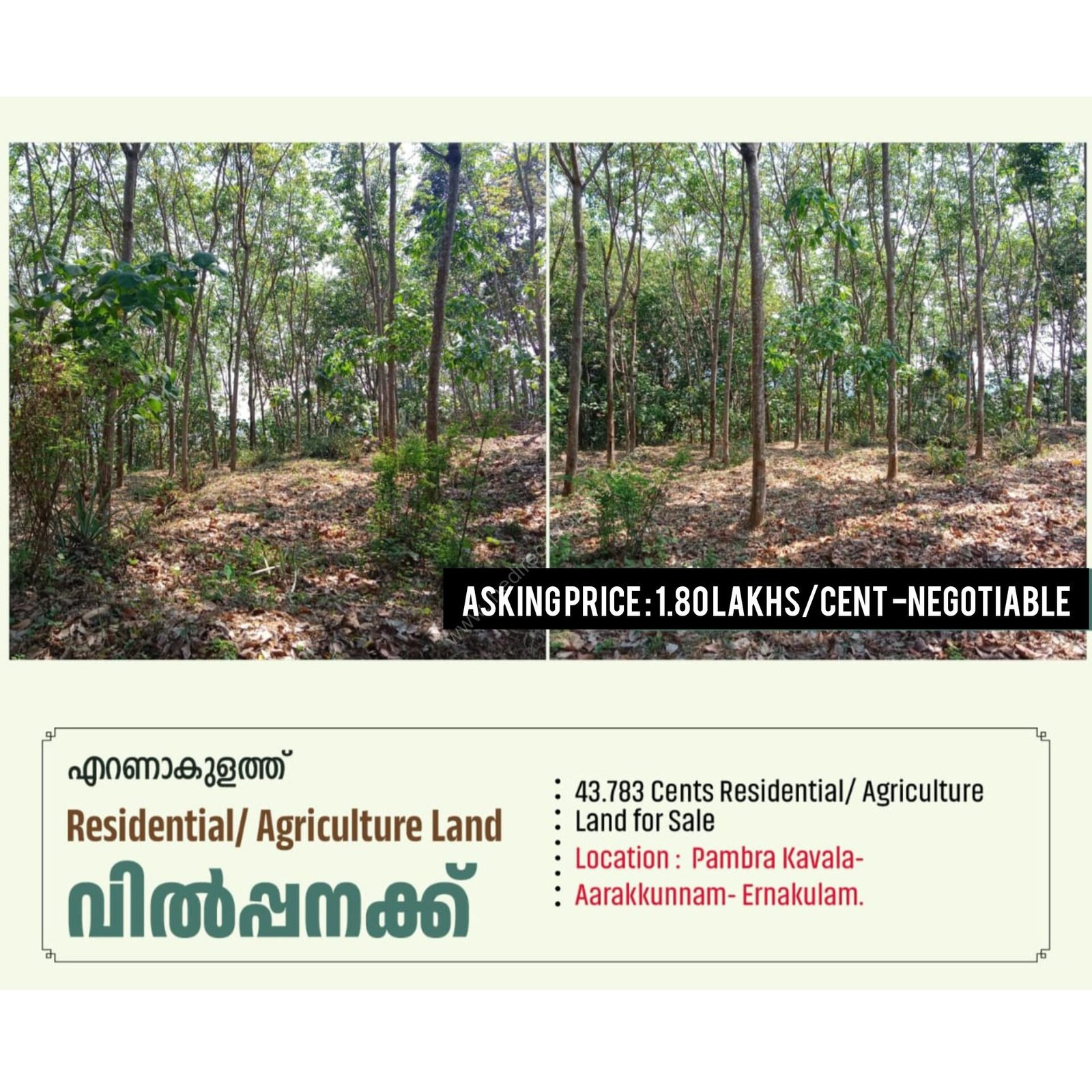 InShot_20250620_154600426