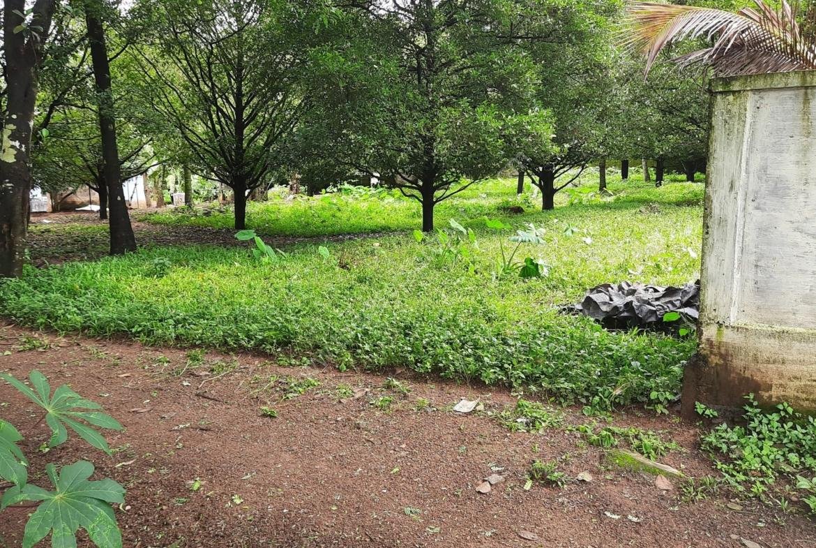 Low budget Land/Plot for sale