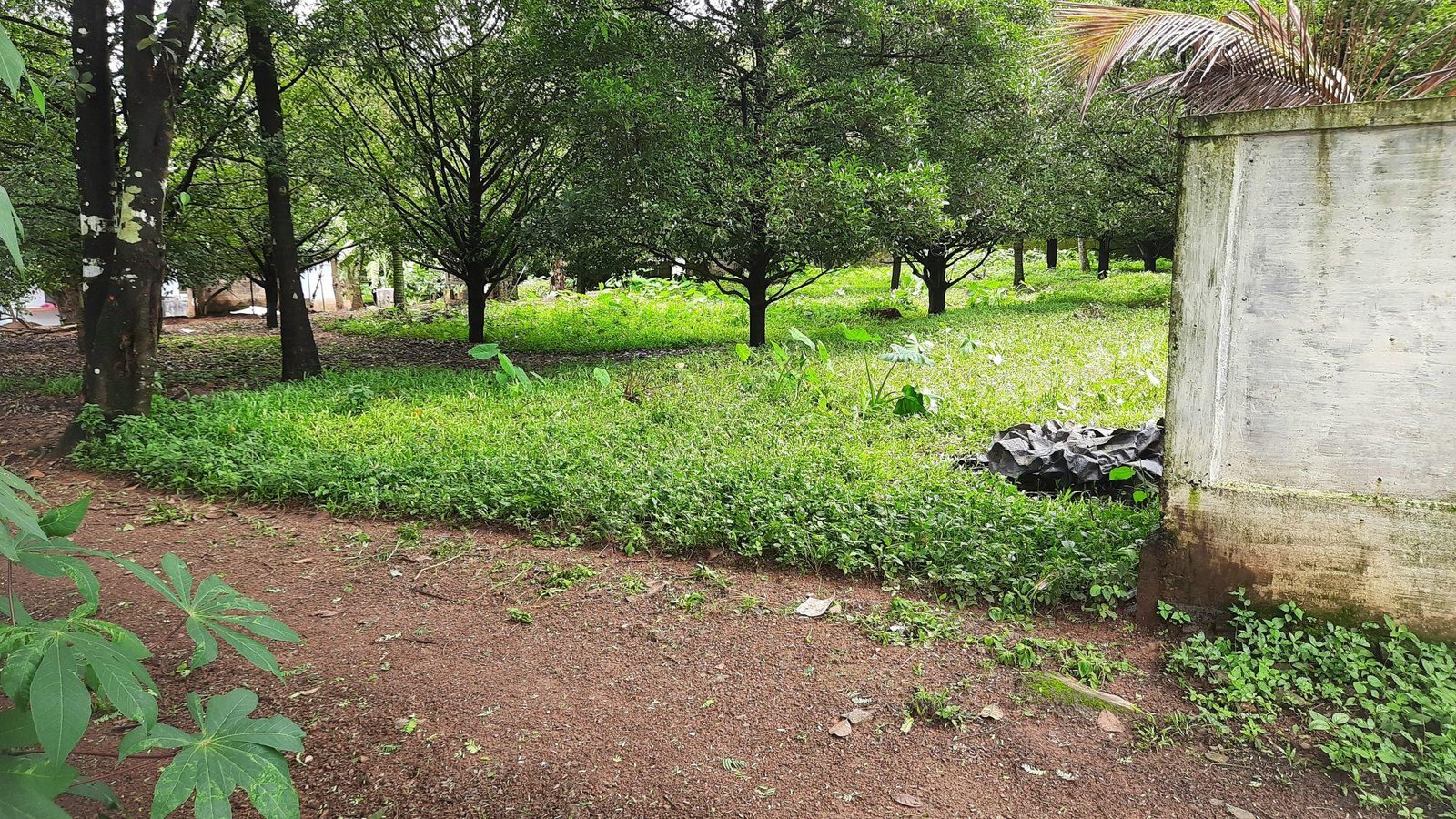 M2 Low budget Land/Plot for sale