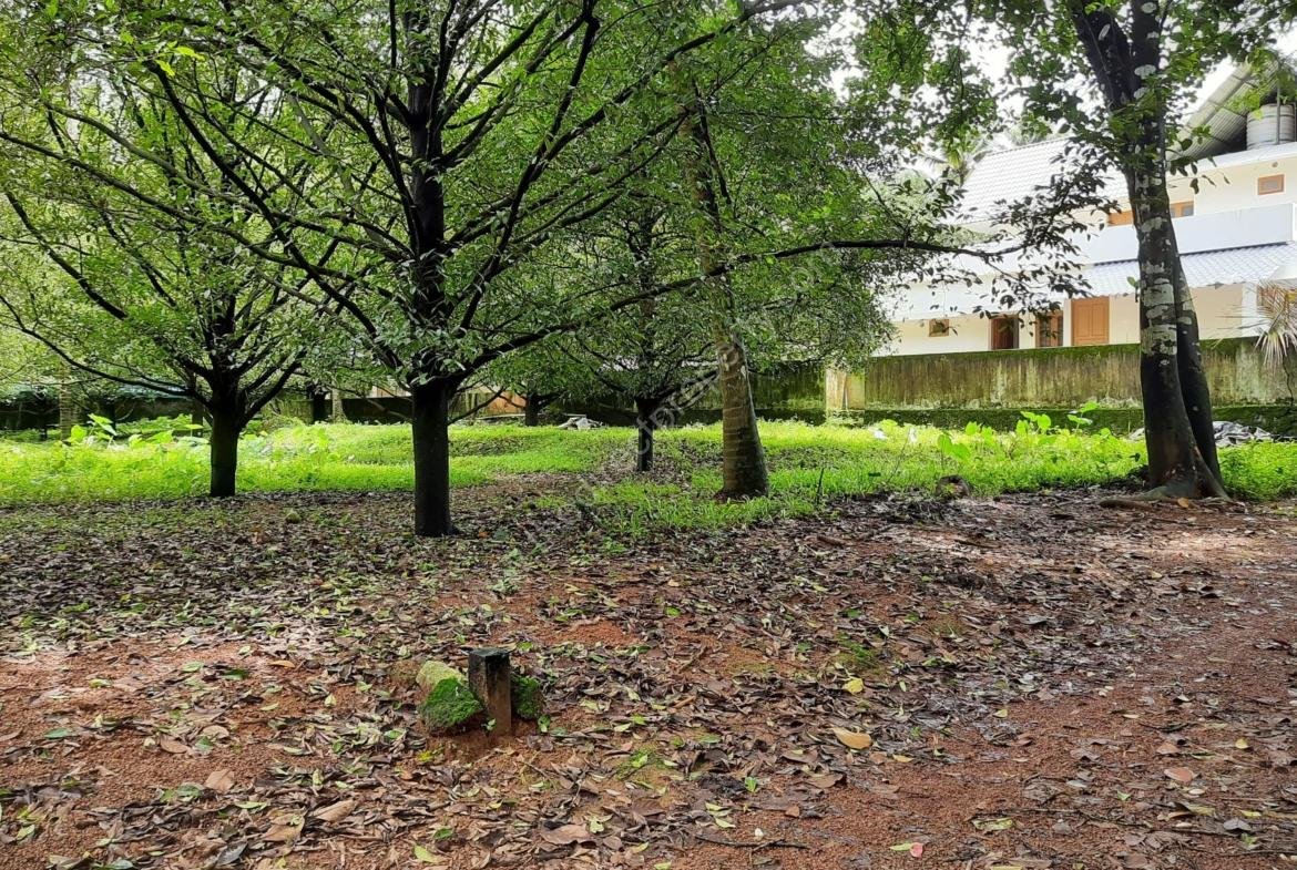 Low budget Land/Plot for sale