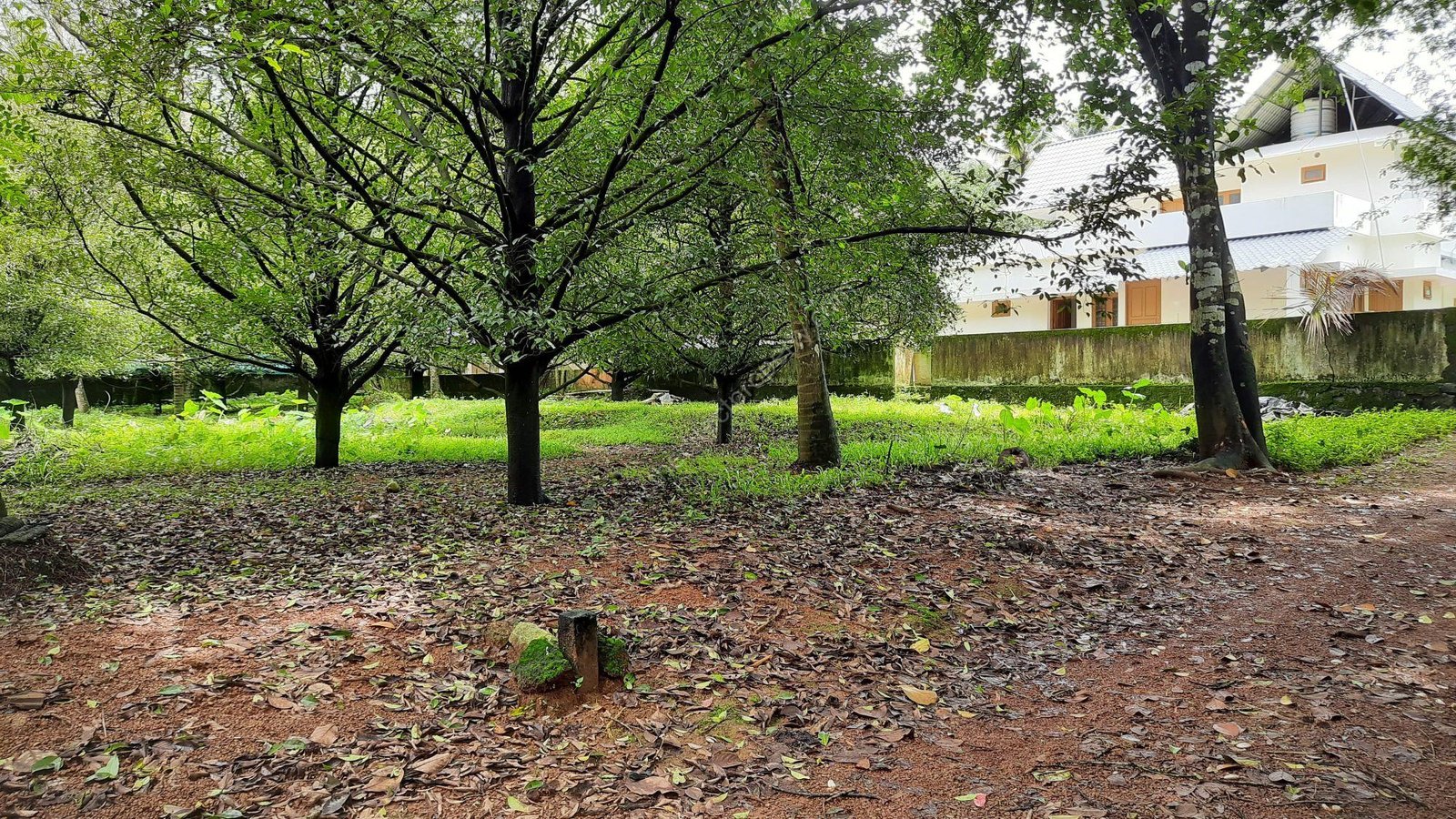 M4 Low budget Land/Plot for sale