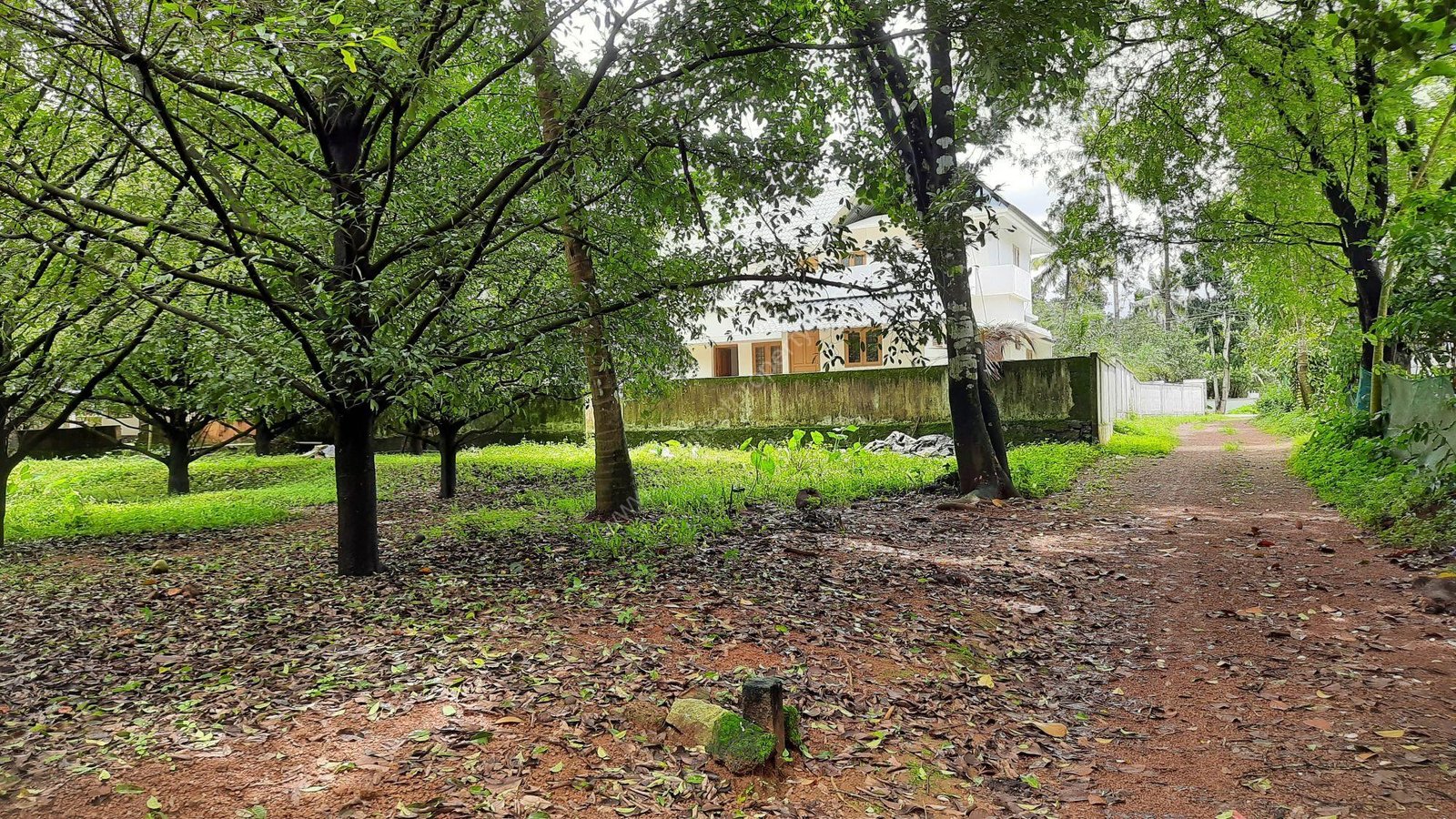 M5 Low budget Land/Plot for sale