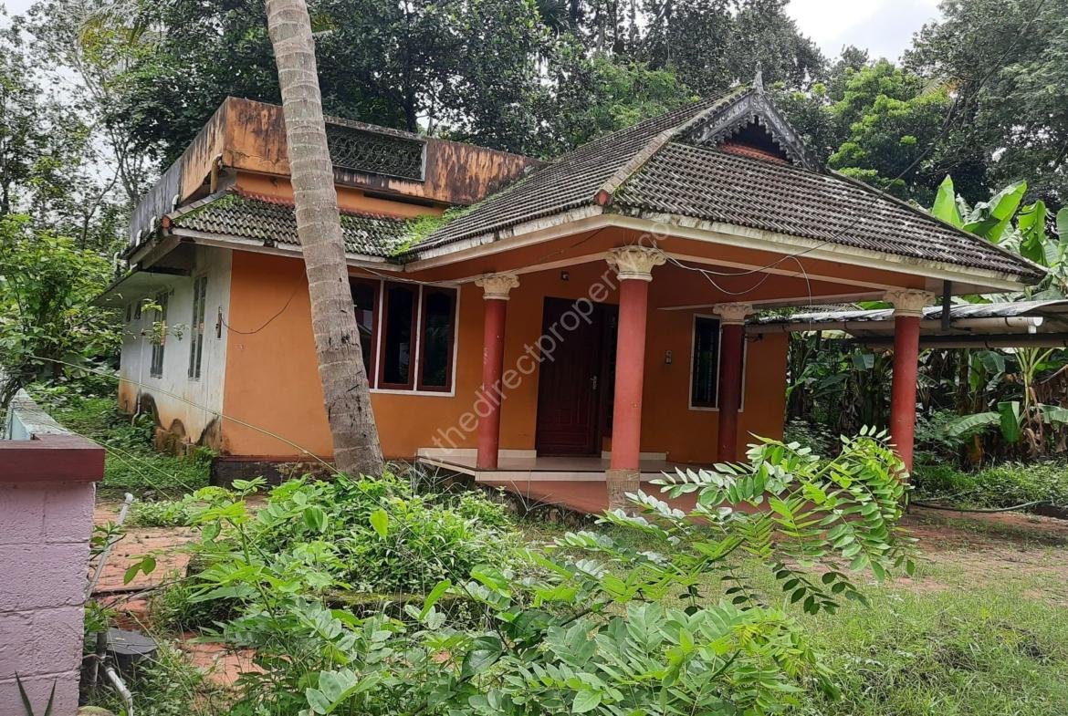 Low budget House for sale