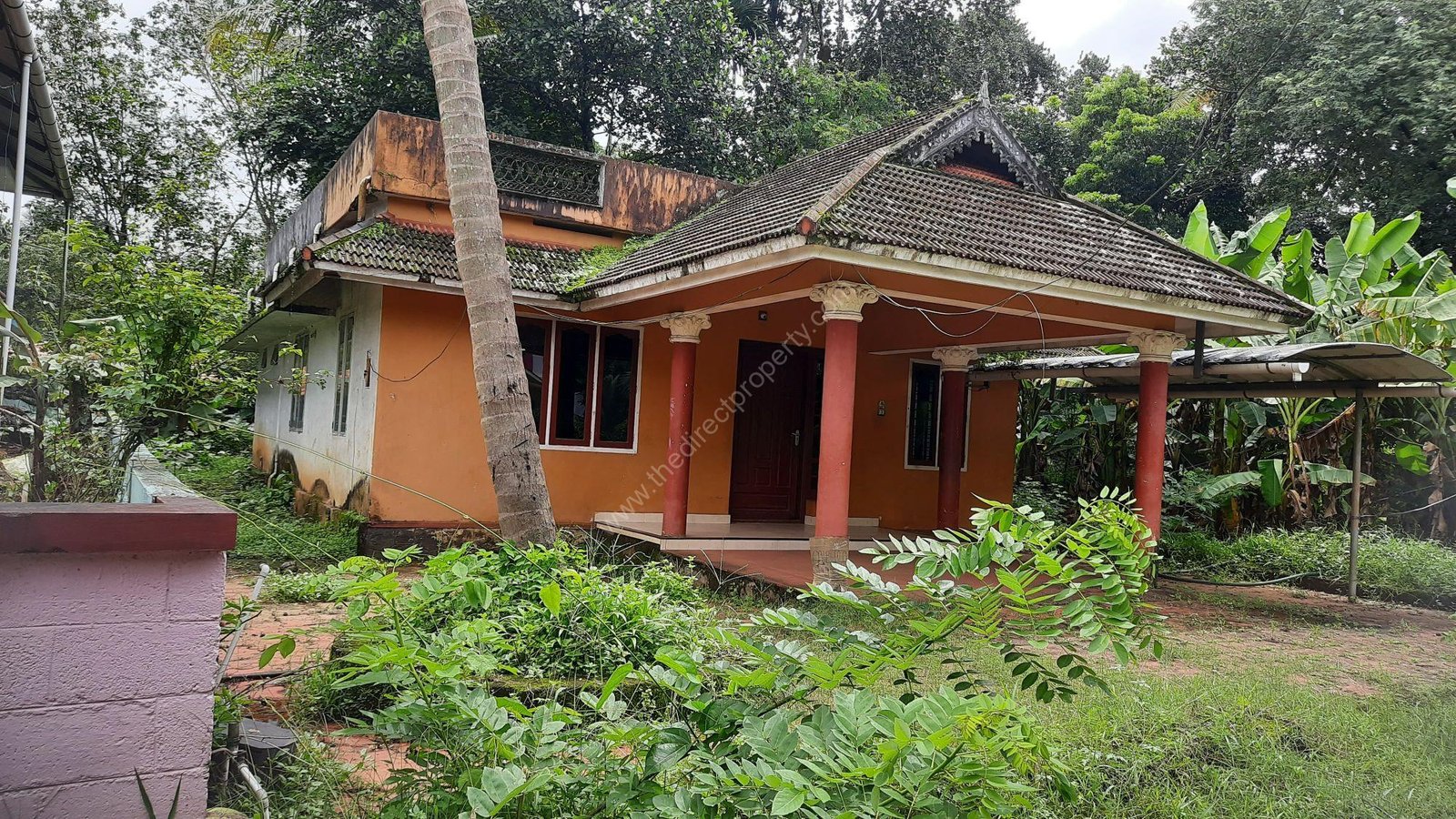Low budget House for sale
