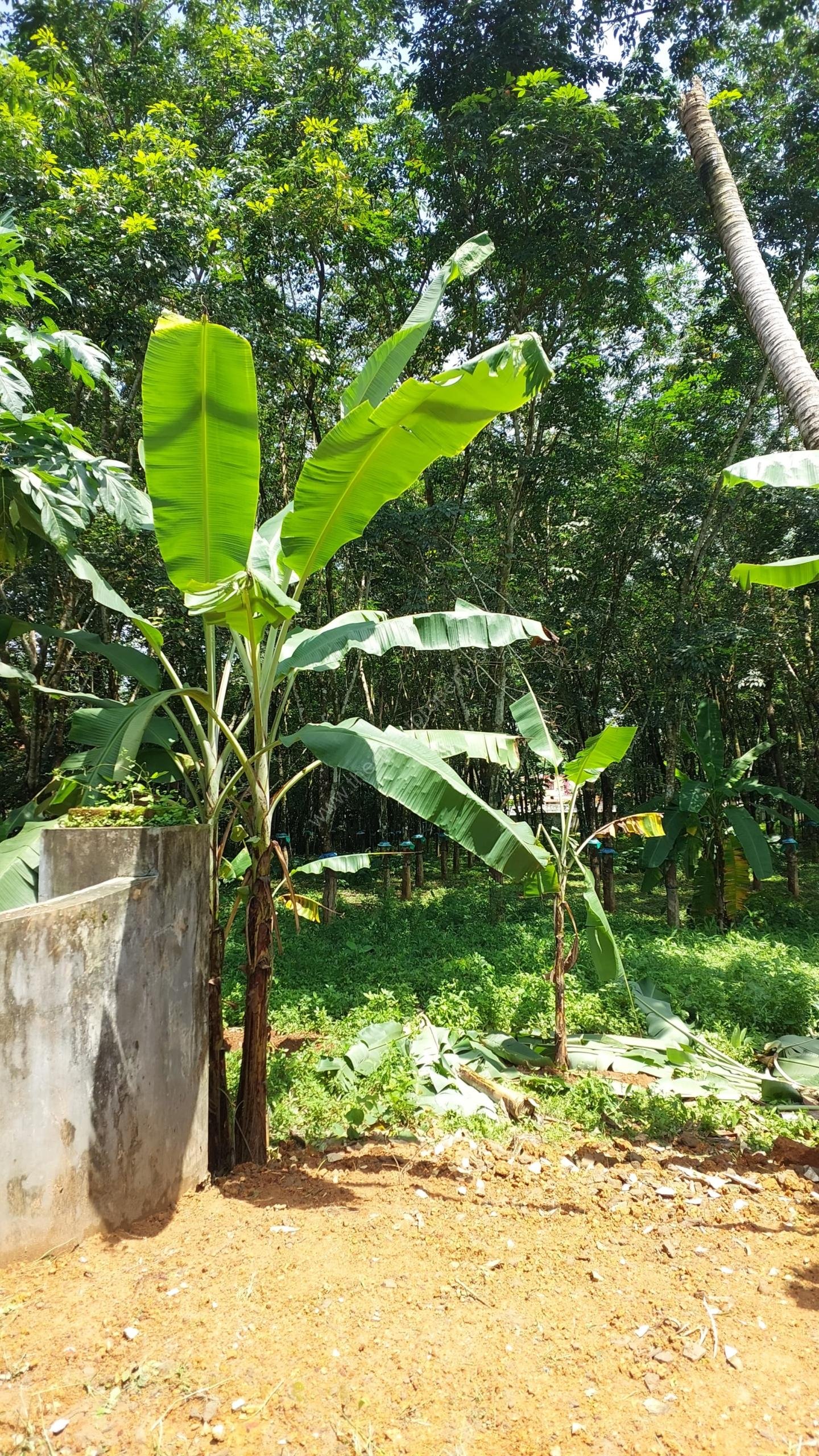 WhatsApp Image 2025-07-01 at 13.32.15 (1)