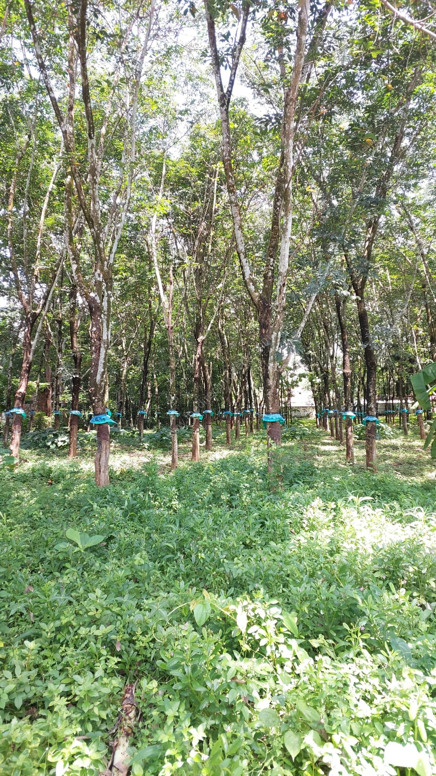 WhatsApp Image 2025-07-01 at 13.32.15 (2)