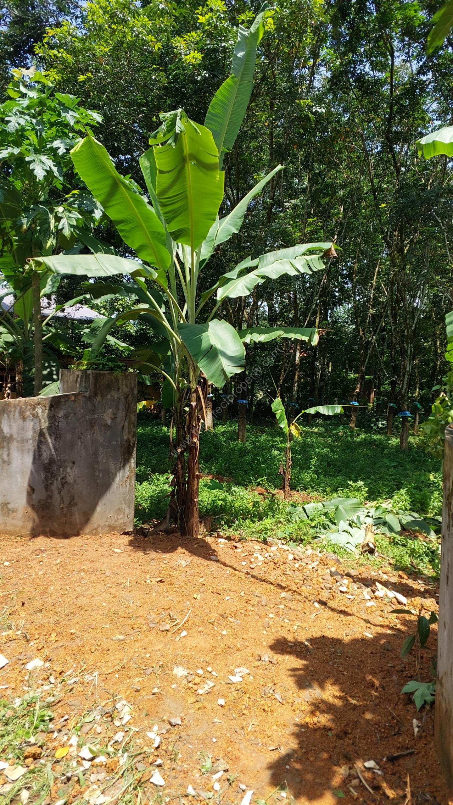 WhatsApp Image 2025-07-01 at 13.32.15 (3)