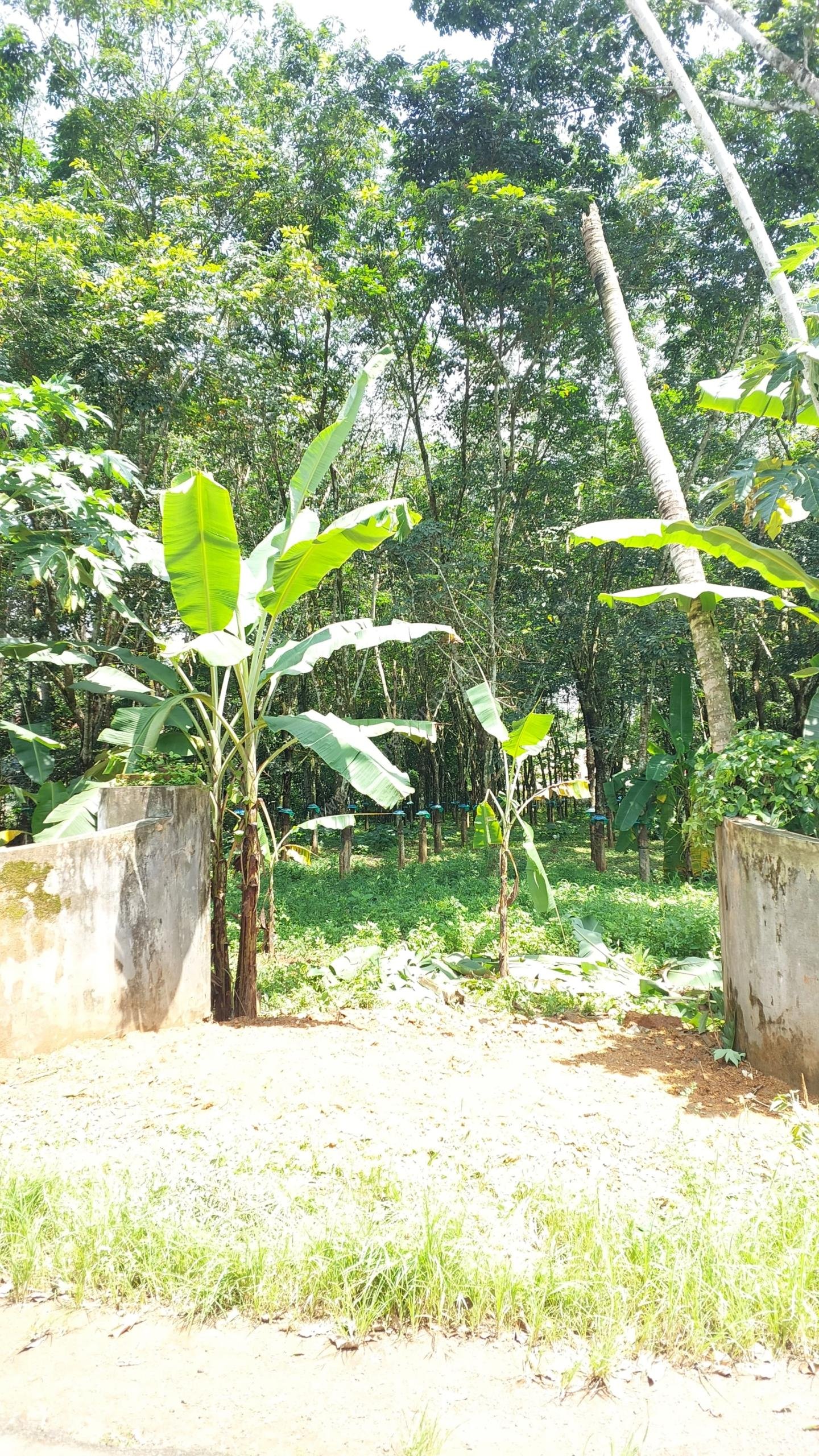 WhatsApp Image 2025-07-01 at 13.32.15