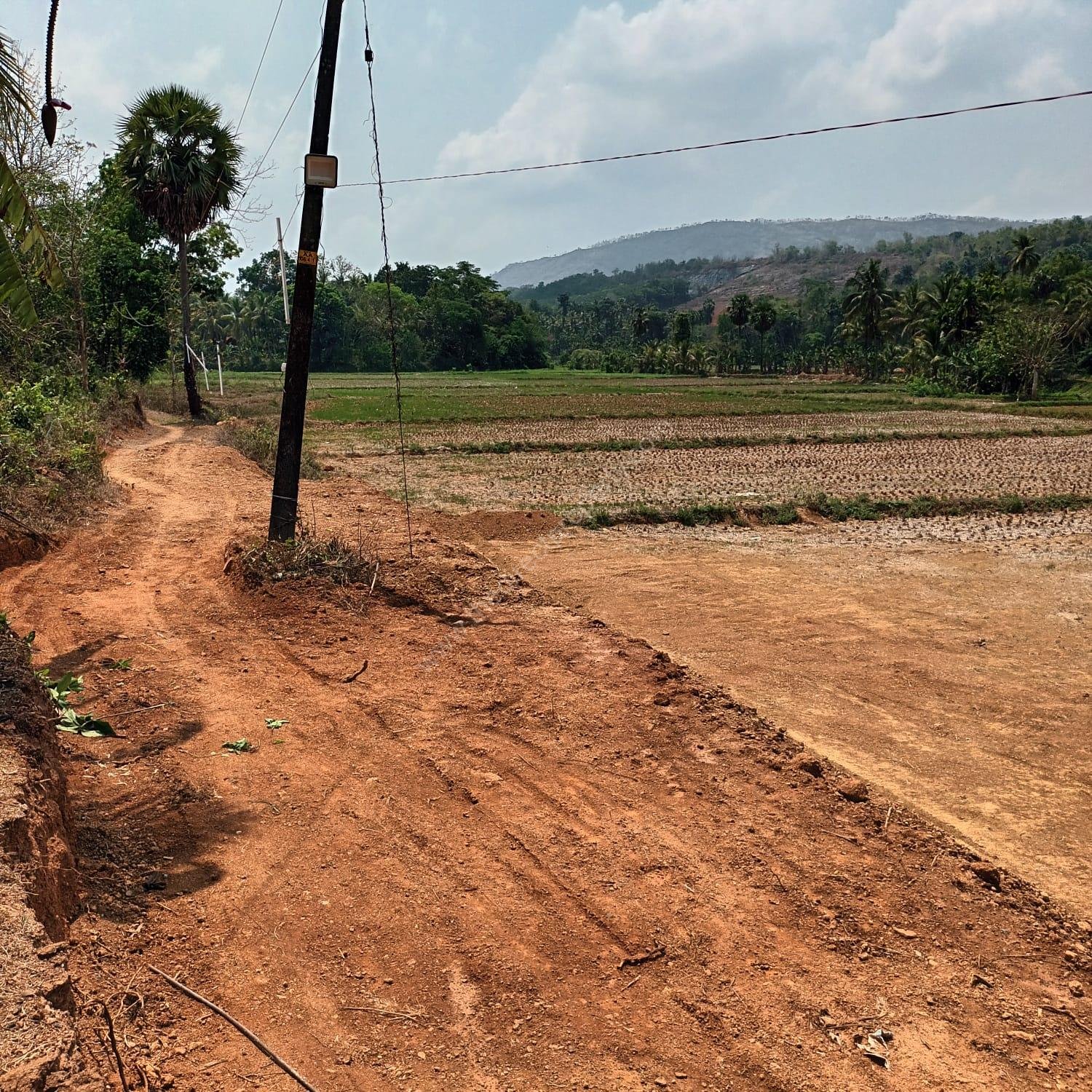 WhatsApp Image 2025-07-01 at 19.51.55_c47bb94d