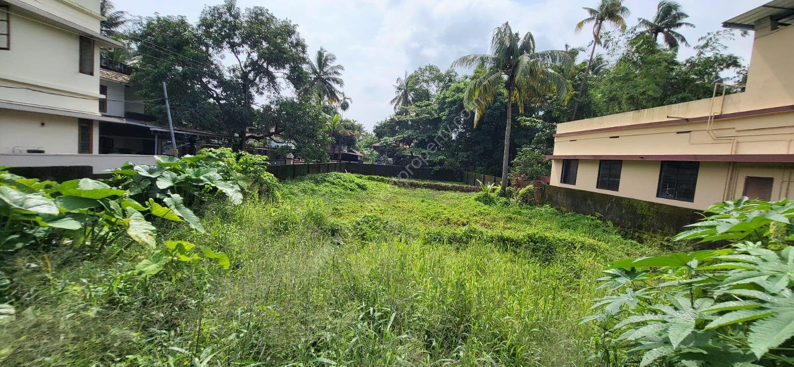 Land For Sale in Kochi Mulavukad