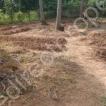 Plot for sale in Triprayar Thrissur