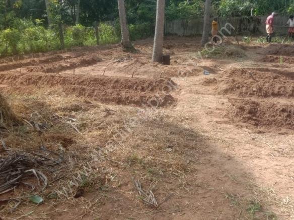 Plot for sale in Triprayar Thrissur
