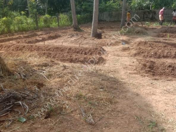 Plot for sale in Triprayar Thrissur