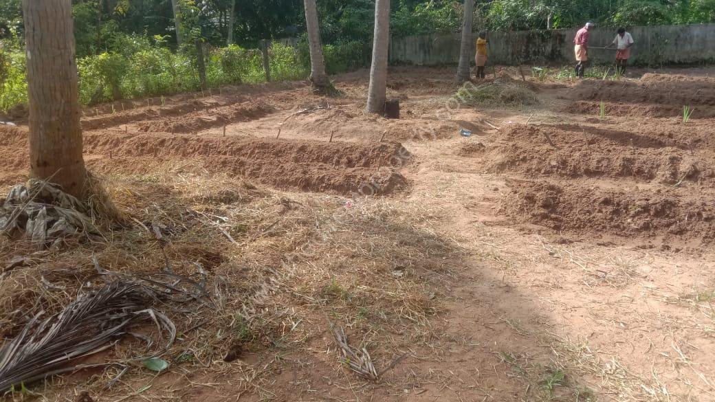 Plot for sale in Triprayar Thrissur