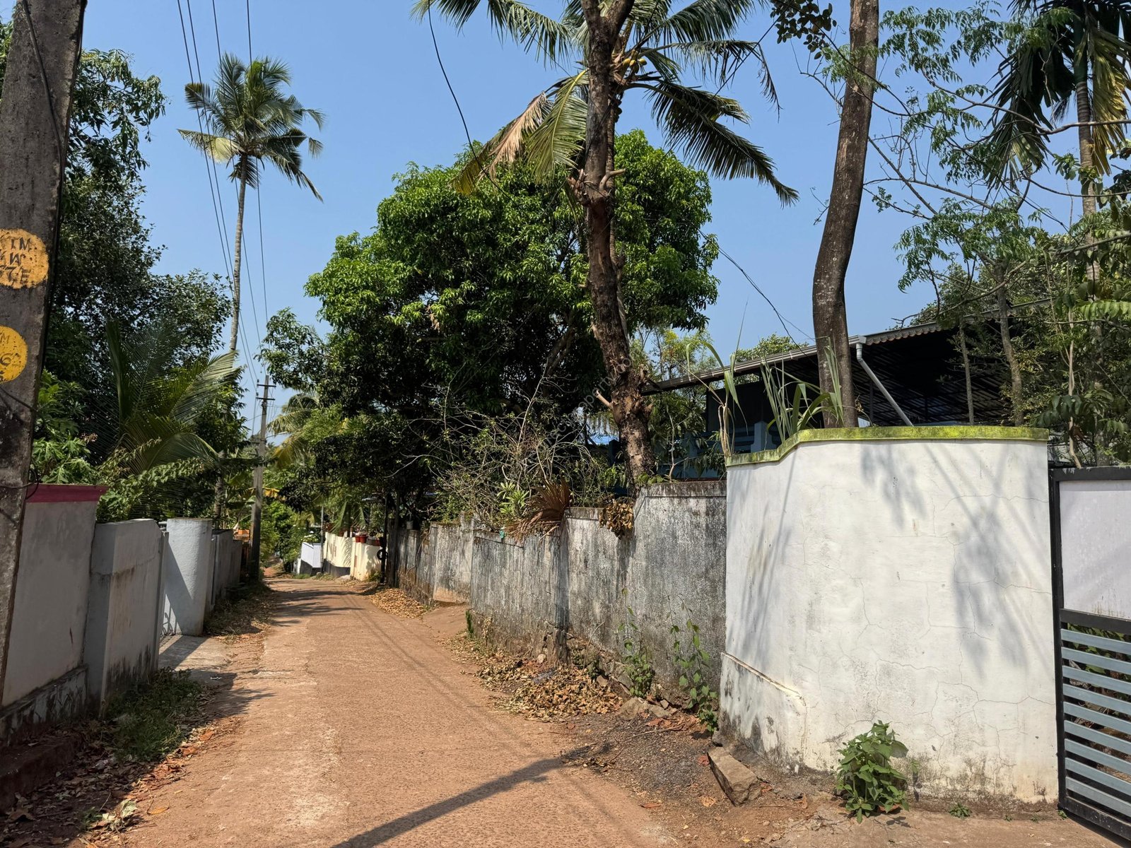 WhatsApp Image 2025-07-23 at 20.14.01 (3)