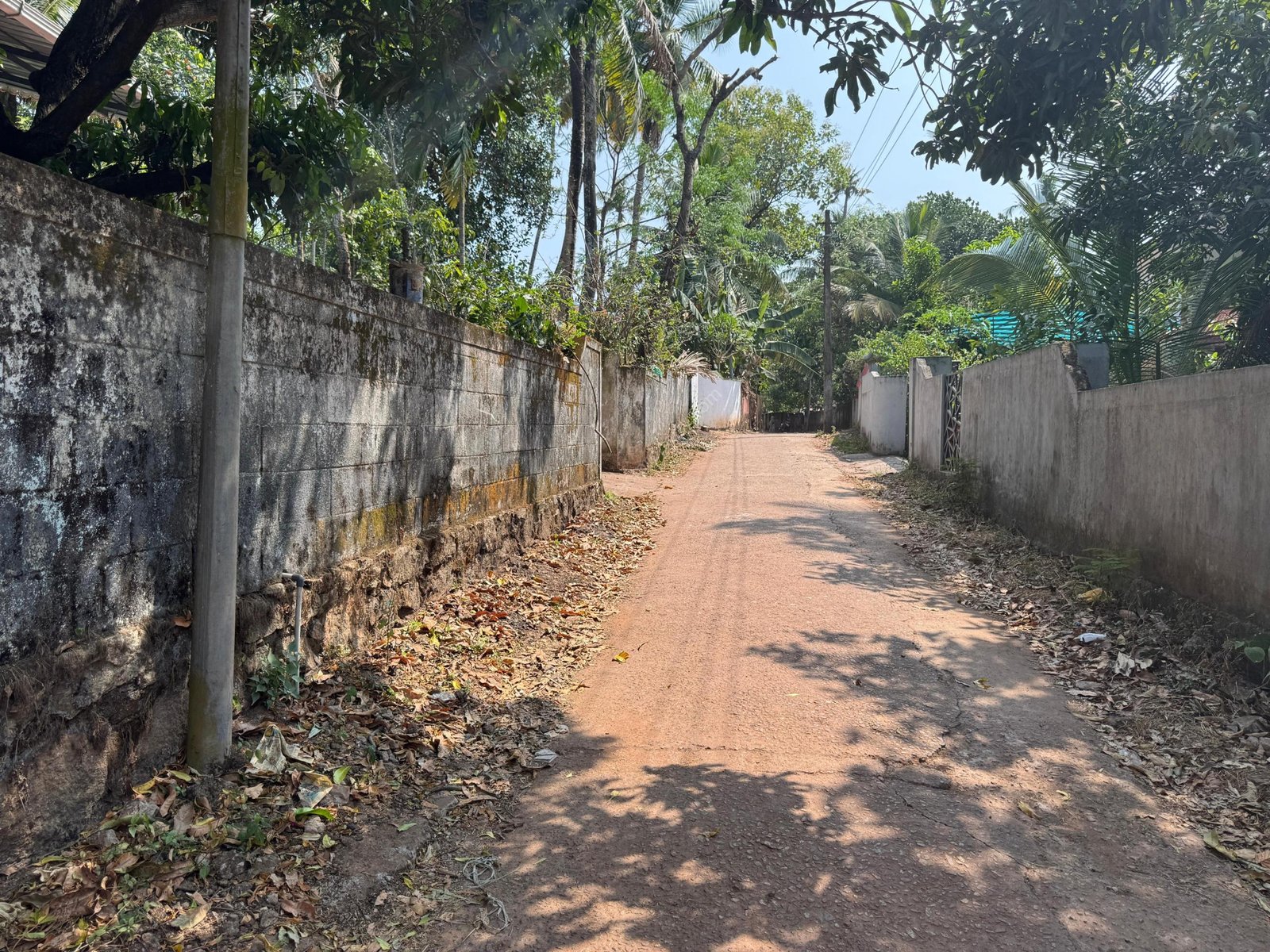 WhatsApp Image 2025-07-23 at 20.14.01 (4)