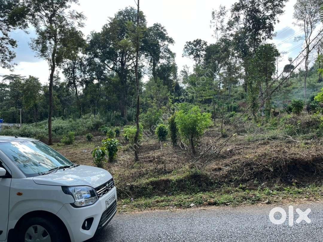 image Plot/Land for Sale in Mananthavadi