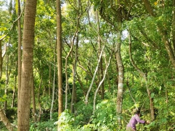 Land for sale in Athani Poomala Thrissur