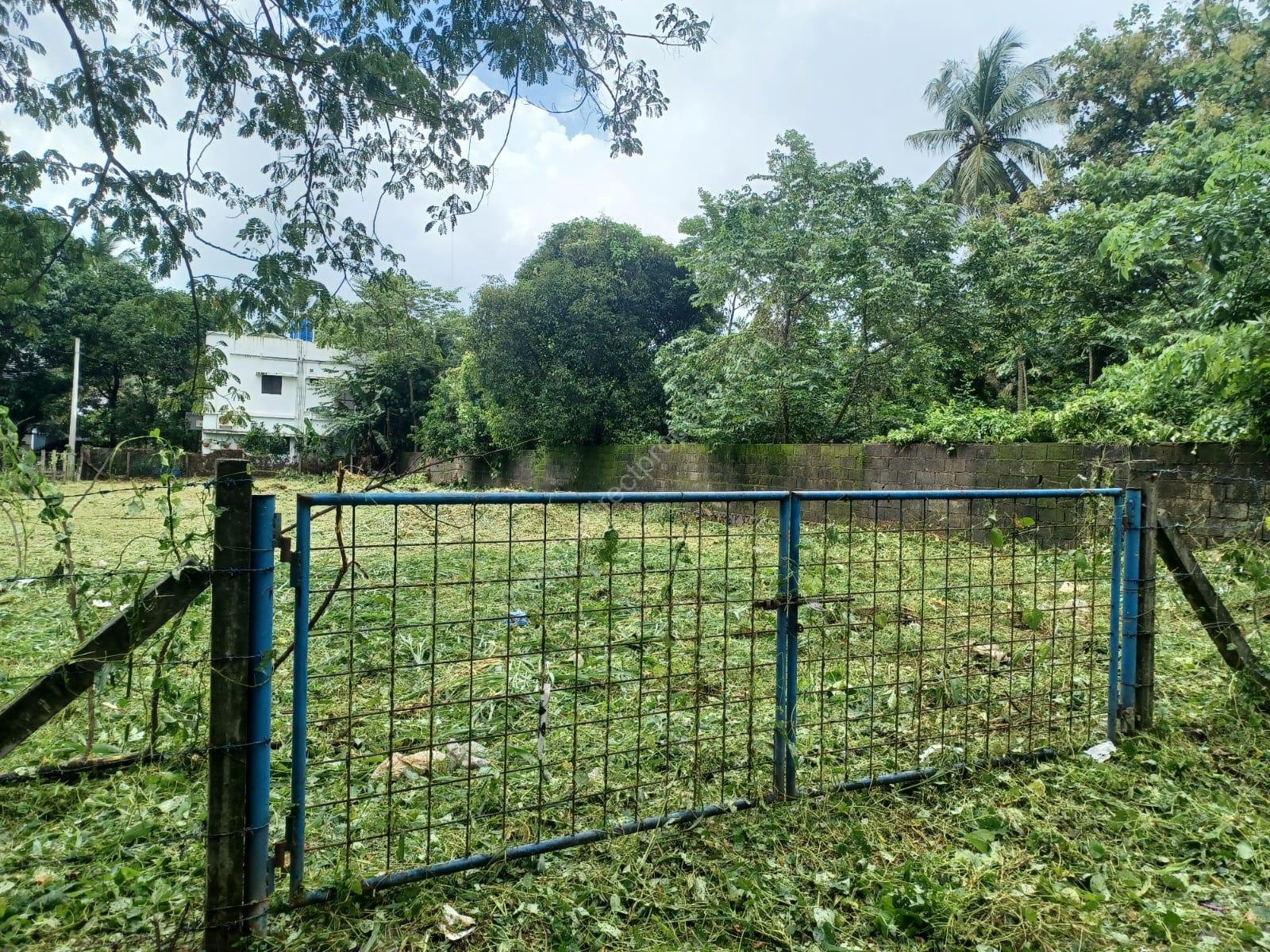 1000046528 House plots sale in Olarikkara