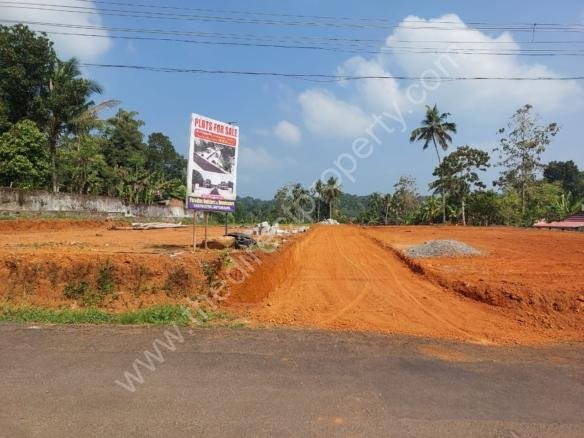 Land for sale in Mallappally Thiruvalla