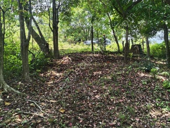 Land for sale in Lakkidy