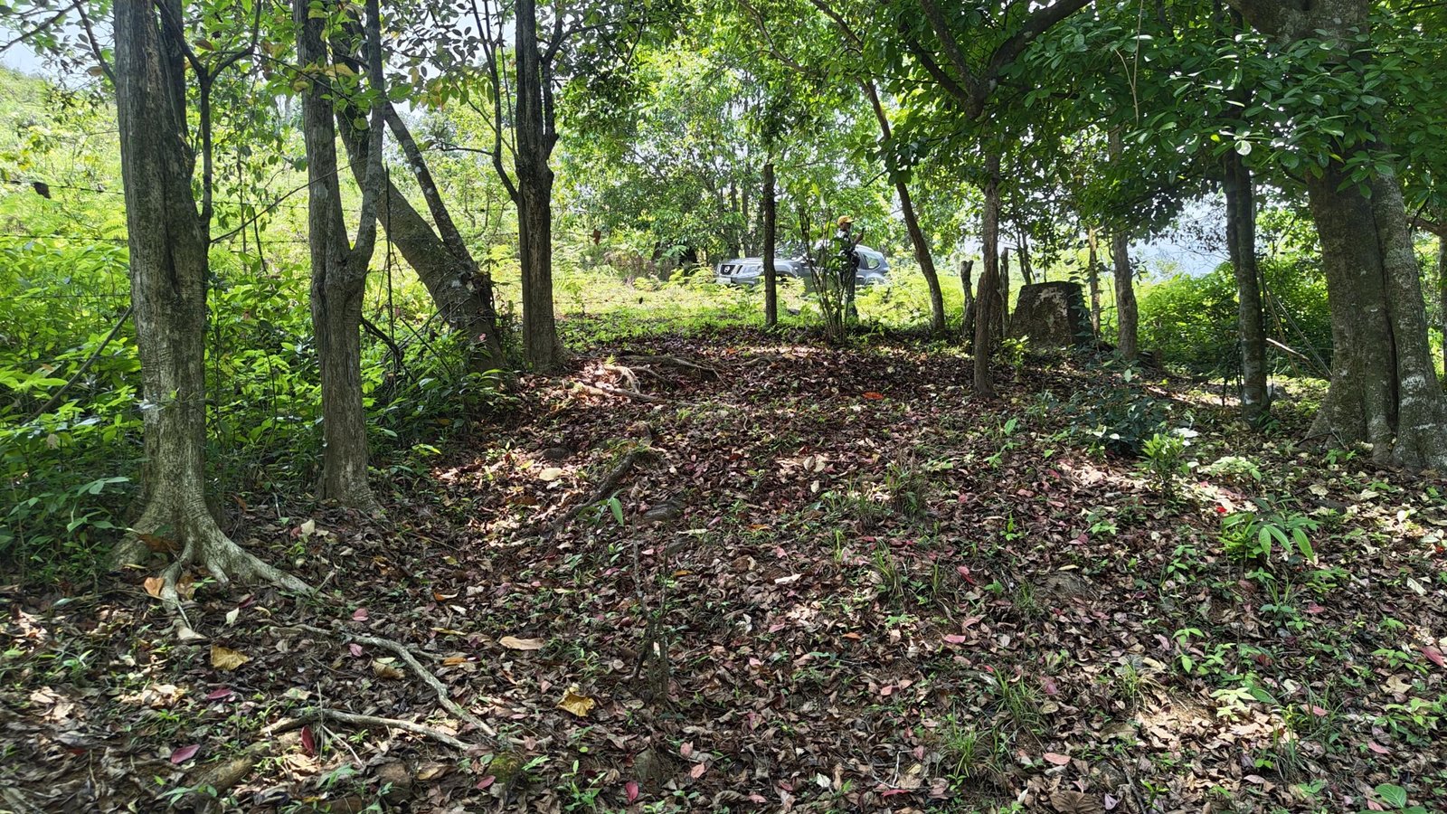 Land for sale in Lakkidy