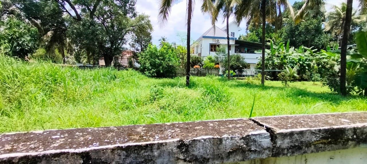 Land for sale in Kuttoor