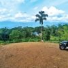 Resort Land for sale in Vithura Thiruvananthapuram