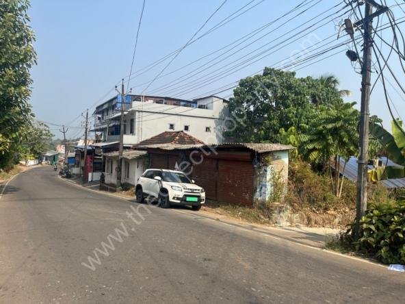 Plot for sale in Nellikuzhy