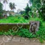 Residential land for sale near St Thomas college Thrissur