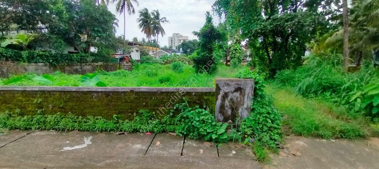 Residential land for sale near St Thomas college Thrissur