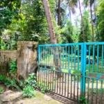Land for sale in Kuttoor Kottekkad
