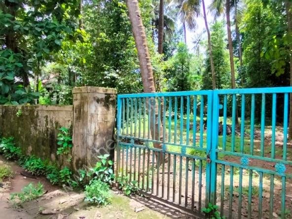 Land for sale in Kuttoor Kottekkad