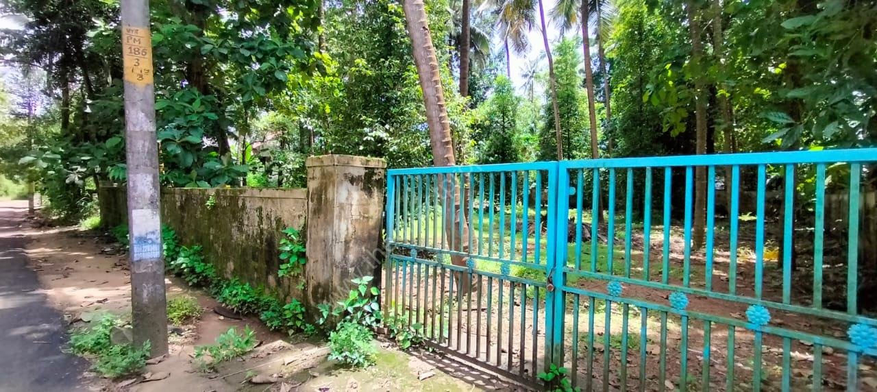 5 Land for sale in Kuttoor Kottekkad