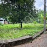 House plot for sale near Thuravoor Angamaly