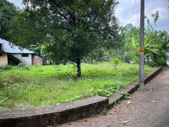 House plot for sale near Thuravoor Angamaly