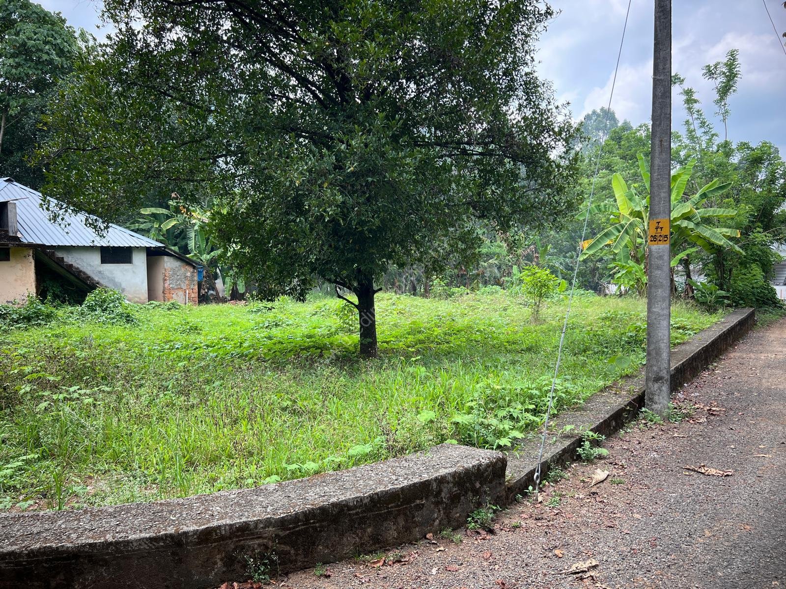 House plot for sale near Thuravoor Angamaly