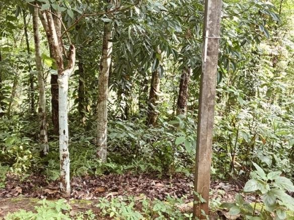 Plot for sale