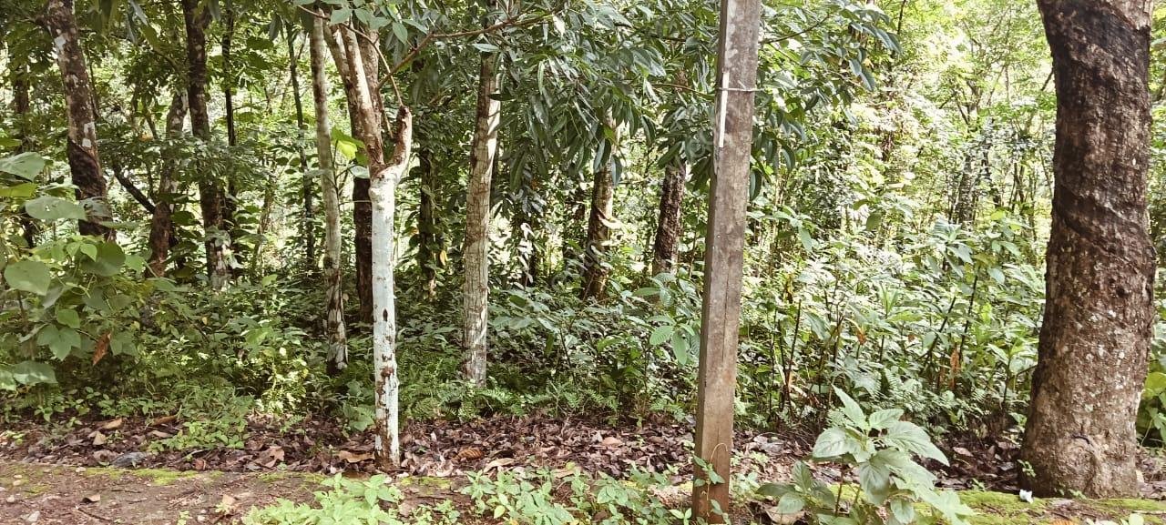 Plot for sale