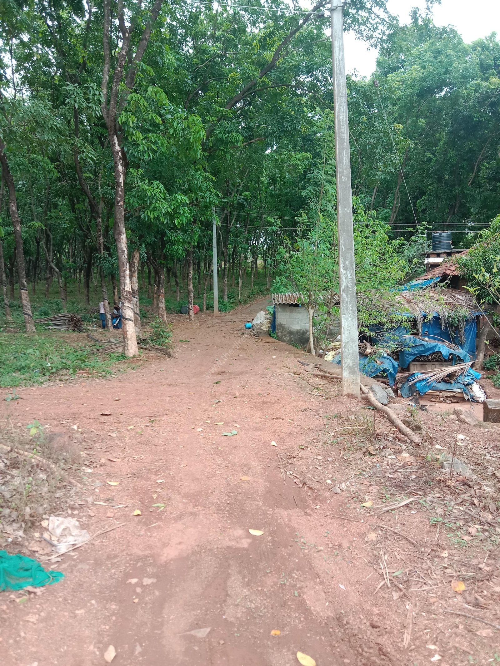 Land for sale near Kalyanakkappu Chungam