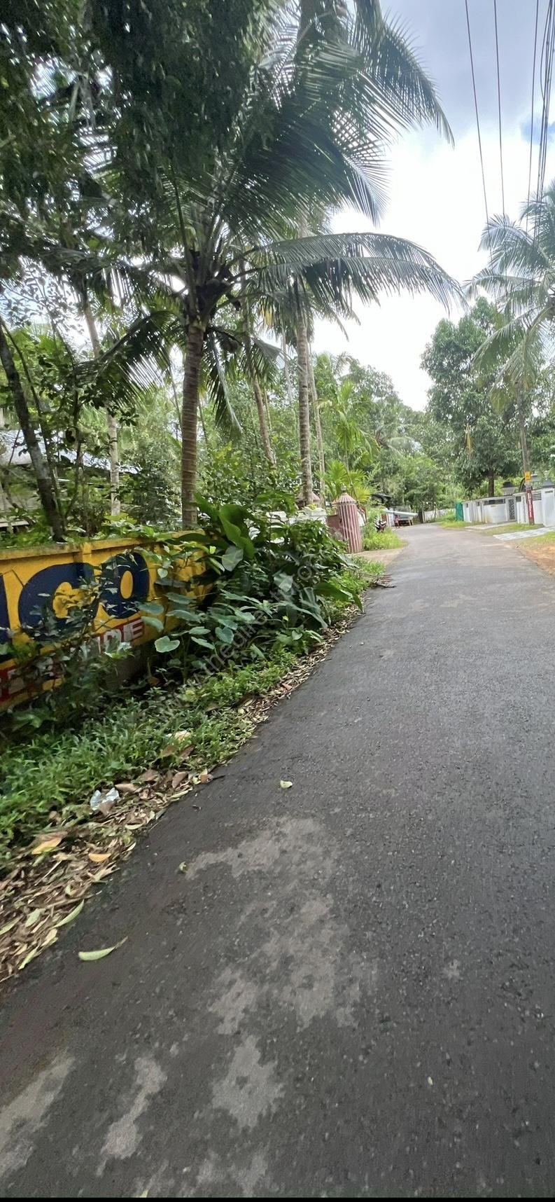 IMG_6230 Plot for sale in Vaikom