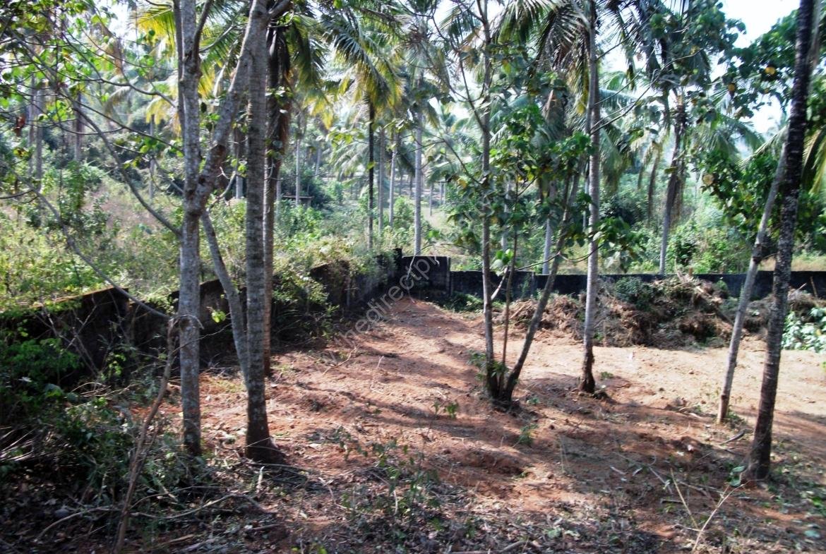Land for sale at Kochi Kalamassery